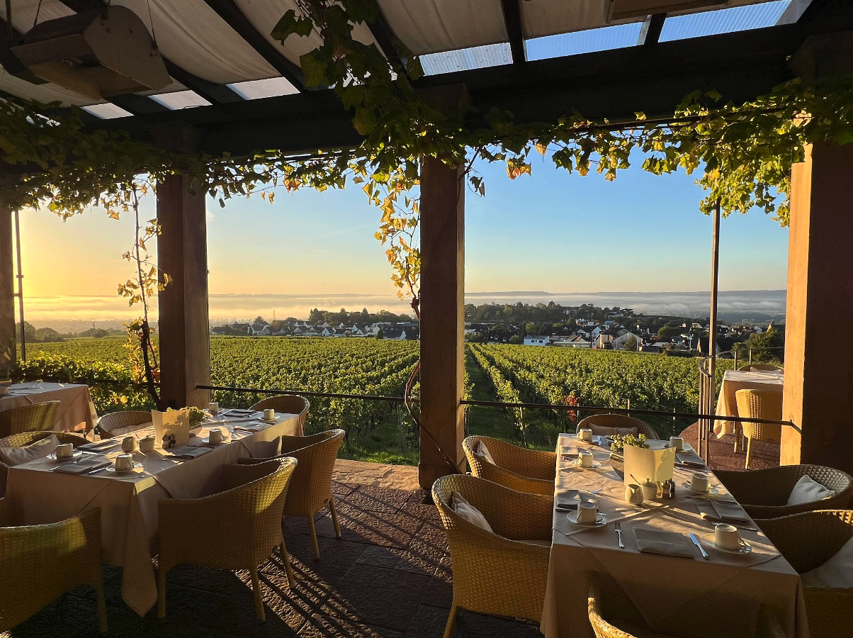 Terrace with vineyard view
